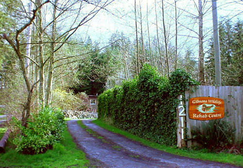 Gibsons Wildlife Rehabilitation Centre