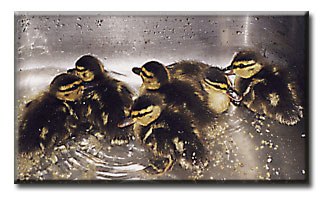 Splashing Ducklings