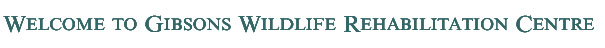 Welcome to Gibsons Wildlife Rehab Centre