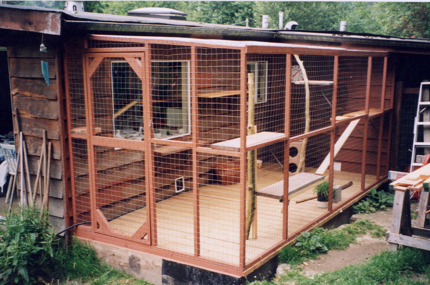 cat-enclosure